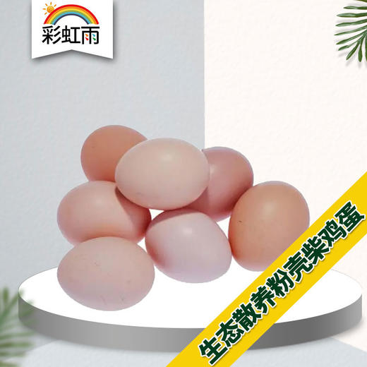 满百包邮 彩虹雨 农家散养新鲜粉壳鸡蛋柴土鸡蛋 初产蛋10枚 商品图0