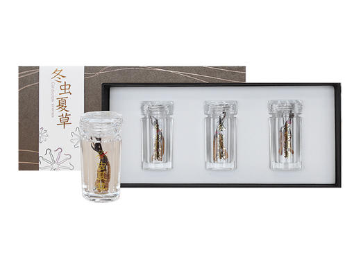 【P】华润堂 冬虫夏草（1克x3瓶） 商品图1