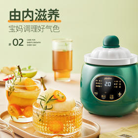 浦利顿新款南瓜电炖盅0.5L电炖锅DGD5-5A-2