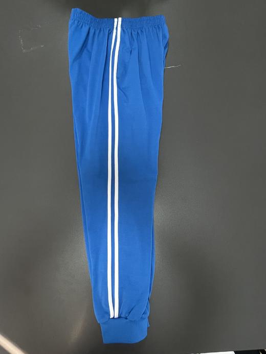 佛山市南海区狮山镇罗村二中校服 商品图2