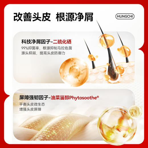 【微信专享价】新品红之去屑净澈洗发水300ml 商品图2