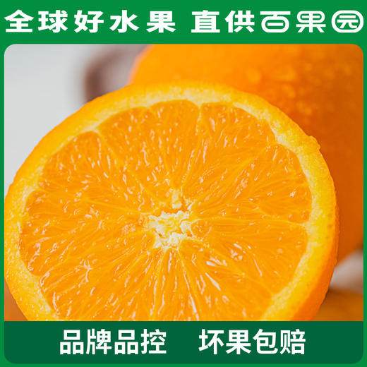 PAGODA百果园 A级-秭归脐橙（伦晚）小 4.5斤彩箱装 商品图1
