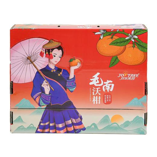 毛南沃柑 约2.5kg/件 商品图4