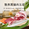 彩虹雨 散养黑猪五花肉350g  京津冀满百包邮 商品缩略图0