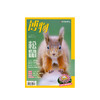 博物杂志 2024年4月刊 松鼠主题  精美大拉页 博物大学 青少年科普杂志 商品缩略图1