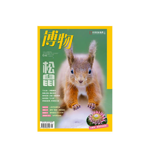 博物杂志 2024年4月刊 松鼠主题  精美大拉页 博物大学 青少年科普杂志 商品图1