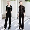 雀说 女春秋金丝绒显瘦时尚开衫立领卫衣阔腿裤两件套潮休闲运动服金丝绒套装66541 商品缩略图1