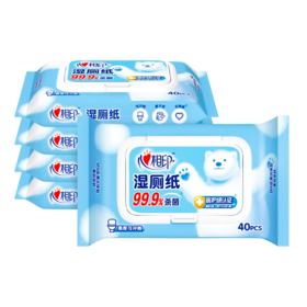 心相印  湿厕纸系列湿巾40片5包套装  5XCY040