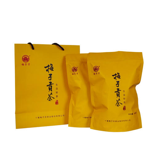 【2024新茶】梅子贡茶 梅子贡·珍品绿茶 500g礼盒装 商品图0