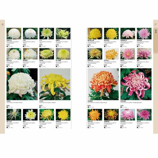 花卉博物馆（第二版） 商品图8