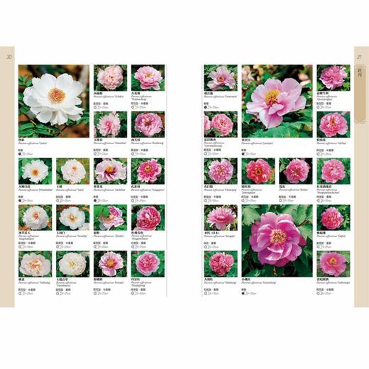 花卉博物馆（第二版） 商品图7