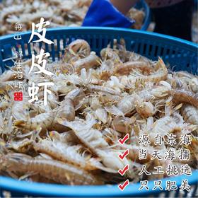 闹妈海鲜】舟山鲜活大皮皮虾虾姑濑尿虾富贵虾保鲜不保活公母混搭