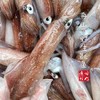 【闹妈】 [热气]镇店之宝硬皮鱿鱼句公 1斤5-8只左右共500g±30g 商品缩略图1