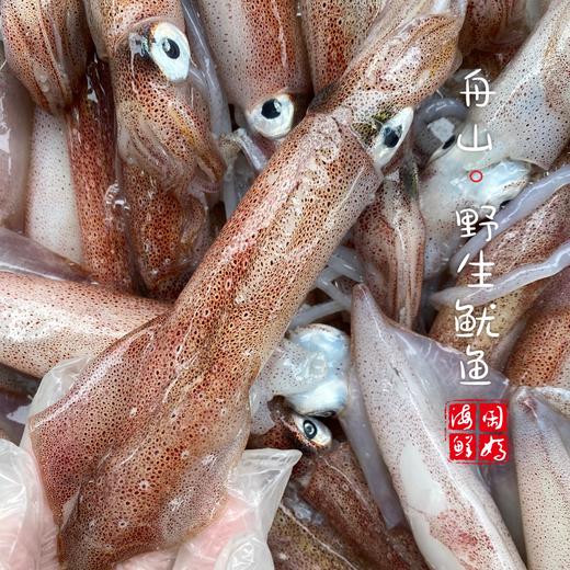 【闹妈】 [热气]镇店之宝硬皮鱿鱼句公 1斤5-8只左右共500g±30g 商品图1