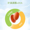 童年故事叶黄素DHA胶囊 商品缩略图4