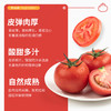 新鲜蔬菜 西红柿500g 商品缩略图1