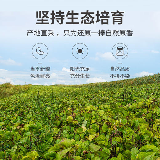 方家铺子 有机红小豆500g/米砖 商品图7