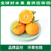 PAGODA百果园 不知火·丑橘（中大）9斤彩箱装（果径80mm+） 商品缩略图3