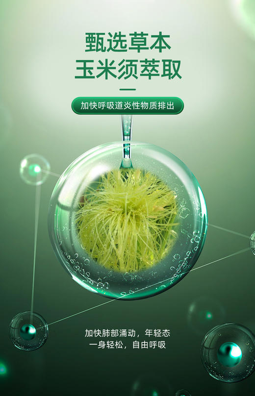 斯诺森牌散节宝蒲公英玉米须蛋白核小球藻粉  呵护肺部 畅快呼吸 美国原装进口 商品图5