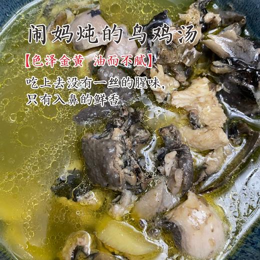 闹妈】2025年海岛原生态山地放养10个月黑羽乌骨鸡上市了 商品图2