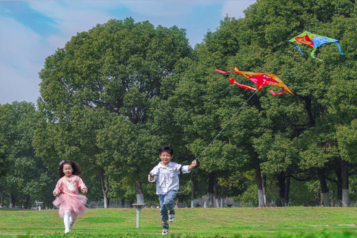 【TOI儿童卡通风筝】春日必备 出游最佳选择 春天的习习微风！灿烂阳光！一起去放风筝  三个插画主题：恐龙、航空、动物  萌趣可爱，放飞童心，放飞梦想  优选210T格子布，好看又耐造 商品图3