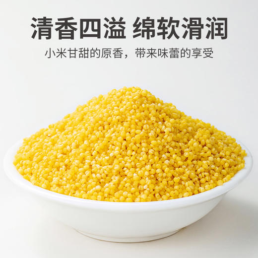 有机黄小米500g/米砖 商品图11