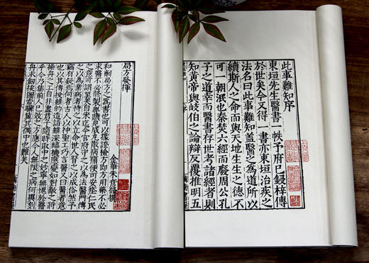 补土派”之宝典 宋金元之医宗——大型中医丛刊《东垣十书》 商品图6