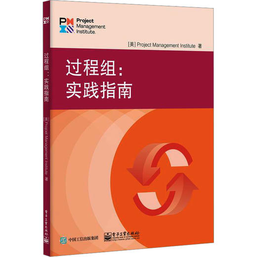 过程组:实践指南 商品图0