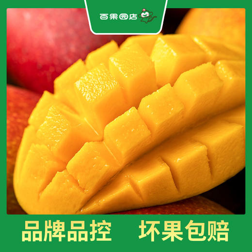 PAGODA百果园 A级-树上熟贵妃芒（中）2kg礼盒装 商品图0