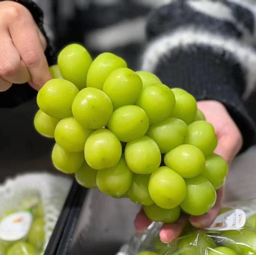 韩国🇰🇷晴王葡萄，超大颗粒甜度非常高的轻奢水果，自然成熟，果肉脆甜多汁，口感饱满独特 商品图2