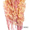永生花材 | 黄杨牡丹浅粉 商品缩略图2