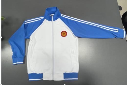 佛山市南海区狮山镇罗村二中校服 商品图5