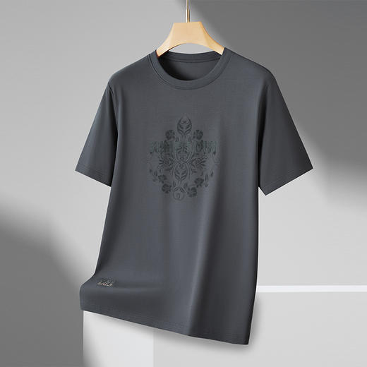 【丝光棉】【新款DPF】大依优型大码短袖T恤圆领加肥加大男装大号大码上衣男士休闲半袖夏季 商品图1