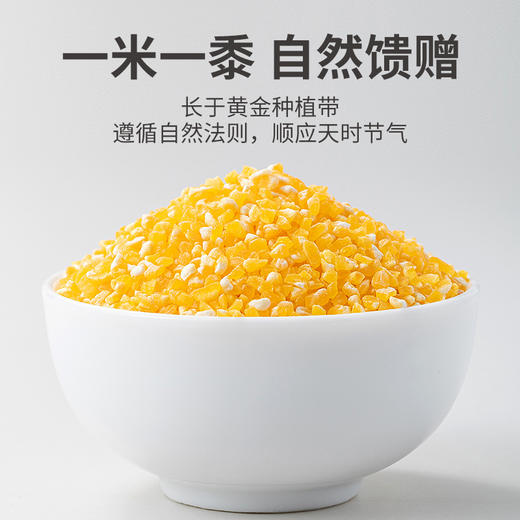 有机玉米糁450g/米砖 商品图12