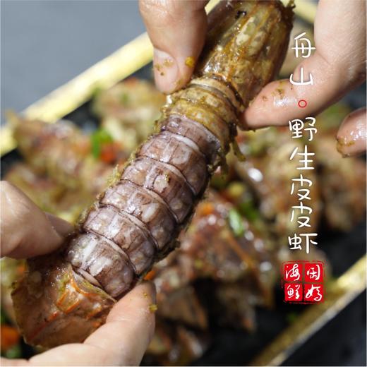 闹妈海鲜】舟山鲜活大皮皮虾虾姑濑尿虾富贵虾保鲜不保活公母混搭 商品图4