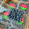 【雪山恬】云南 玉龙雪山 蓝莓15+，口感脆，味道甜，个头中，特别好吃！ 商品缩略图1