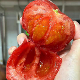 【社区团购】普罗旺斯西红柿2Kg左右含箱