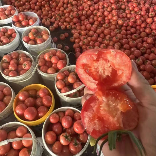 【社区团购】普罗旺斯西红柿2Kg左右含箱 商品图4