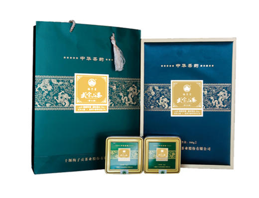 【2024新茶】梅子贡茶 中华茶韵绿茶300g礼盒装 商品图0