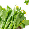 新鲜蔬菜  白菜苔500g 商品缩略图2