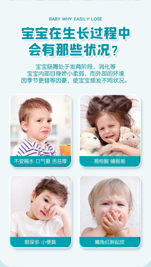 瑞士Vitalp维多普小熊菊花晶 200g 商品图2