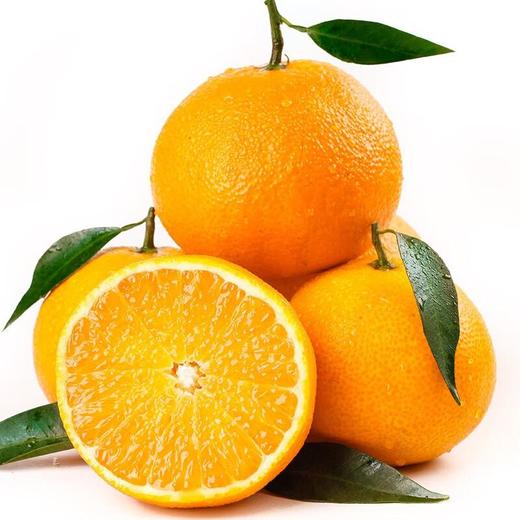 爱媛橙4粒/盒 商品图3