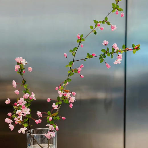 配花-垂丝海棠-2支 商品图0