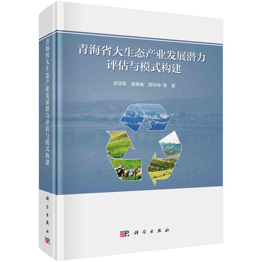 青海省大生态产业发展潜力评估与模式构建 商品图0