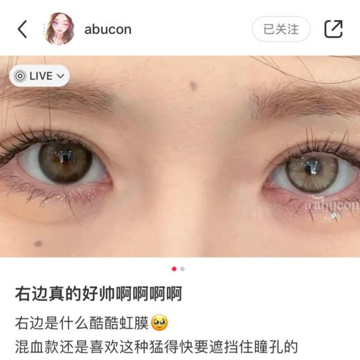 paprikacon日抛 冰岛废墟 蓝/ 曼波胶囊 绿/ 中古废土 棕 14.2mm abu实拍 日抛无售后！有同款月抛 商品图3