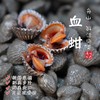【闹妈海鲜】新鲜血蛤鲜活贝类1袋400g±30g45-50只左右不包活 商品缩略图0