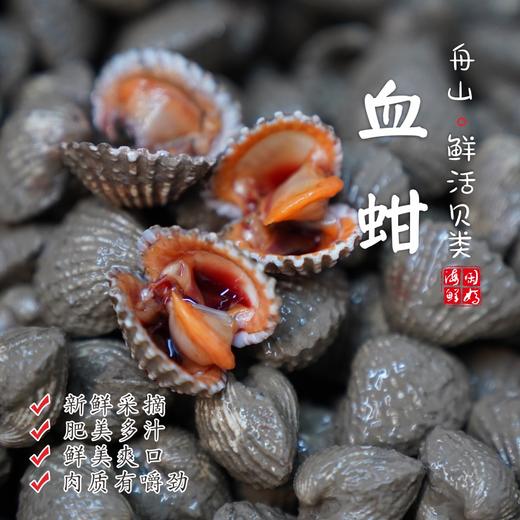 【闹妈海鲜】新鲜血蛤鲜活贝类1袋400g±30g45-50只左右不包活 商品图0