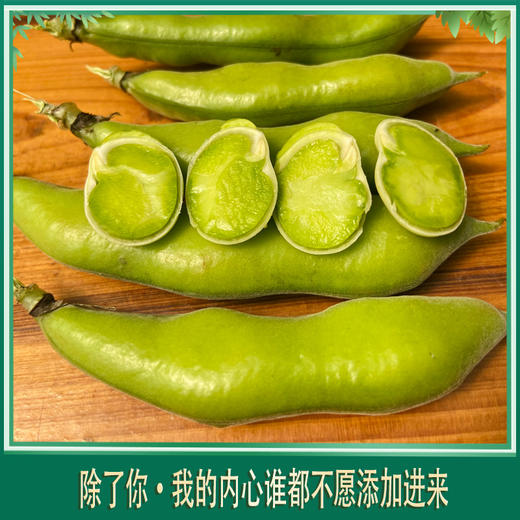 合作 | 带皮蚕豆 2斤  产地：云南 商品图2