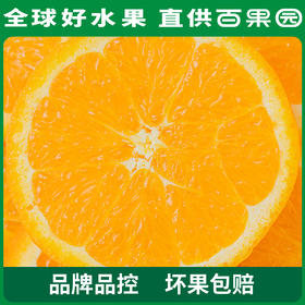 PAGODA百果园 A级-秭归脐橙（伦晚）小 4.5斤彩箱装