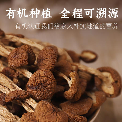 自营-有机茶树菇80g/罐 商品图2
